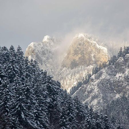 Červený Kláštor Ubytovanie U Jozefa المظهر الخارجي الصورة